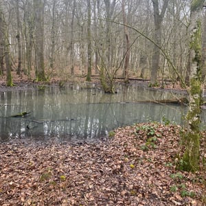 24 Jan 2026 - 15:31 by Pierre