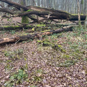 24 Jan 2026 - 15:31 by Pierre