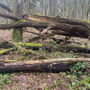 24 Jan 2026 - 15:42 by Pierre