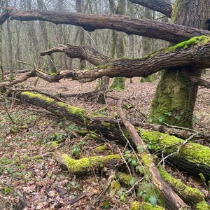 24 Jan 2026 - 15:42 by Pierre