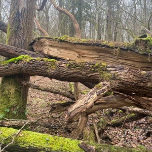 24 Jan 2026 - 15:42 by Pierre