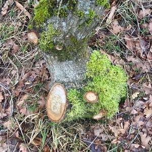 24 Jan 2026 - 15:42 by Pierre