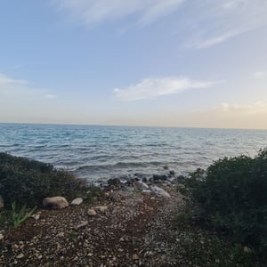 25 Jan 2026 - 17:33 by Alkan