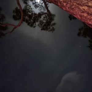 25 Jan 2026 - 19:38 by Alkan