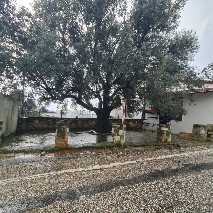 26 Jan 2026 - 13:34, Türkiye