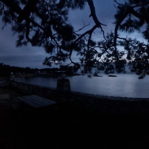 27 Jan 2026 - 18:52 by Alkan