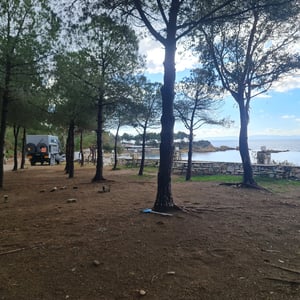 28 Jan 2026 - 12:37 by Alkan