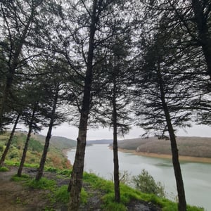 31 Jan 2026 - 13:45 by Alkan