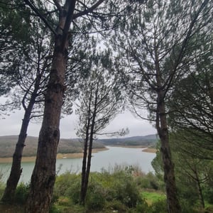 31 Jan 2026 - 13:45 by Alkan