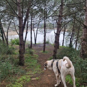 31 Jan 2026 - 13:45 by Alkan