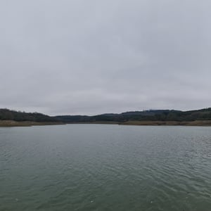 31 Jan 2026 - 13:45 by Alkan