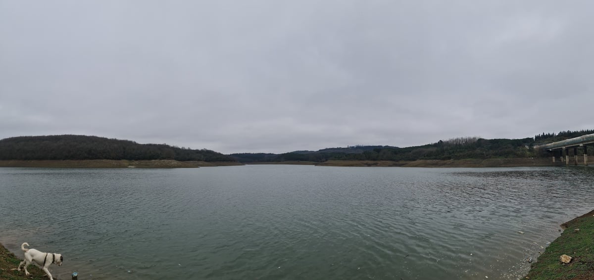 31 Jan 2026 - 13:45, Türkiye
