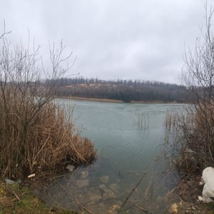 31 Jan 2026 - 15:25 by Alkan