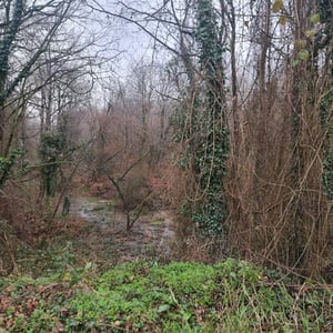 31 Jan 2026 - 15:29 by Alkan