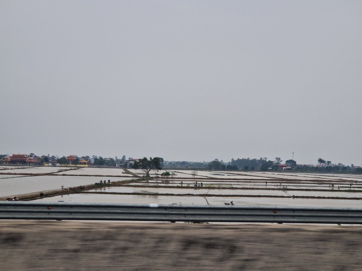 1 de febrero de 2026 - 09:43, Vietnam