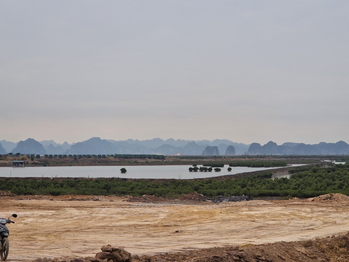 1 febbraio 2026 - 10:51, Vietnam