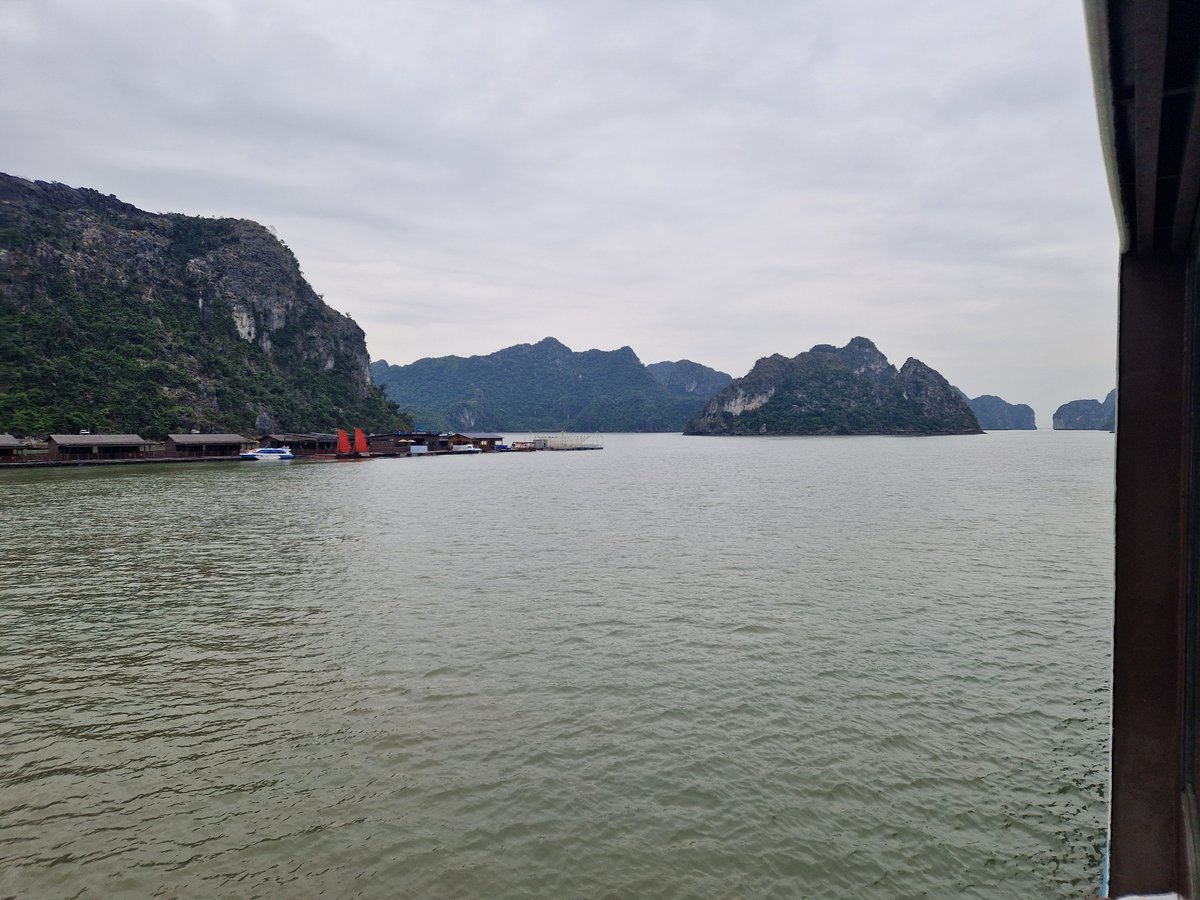 1 Feb 2026 - 12:17, Vietnam