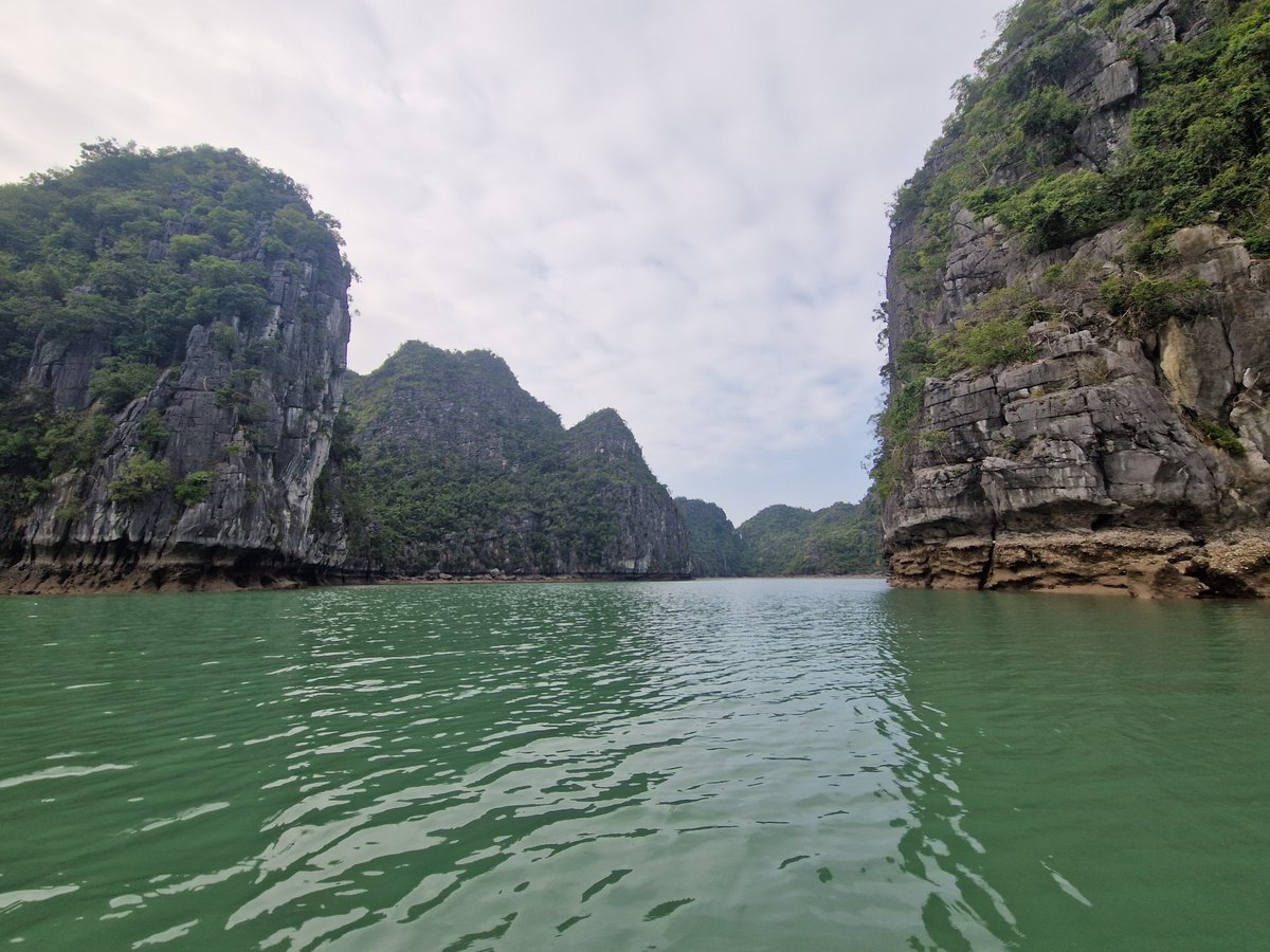 1 de febrero de 2026 - 15:05, Vietnam