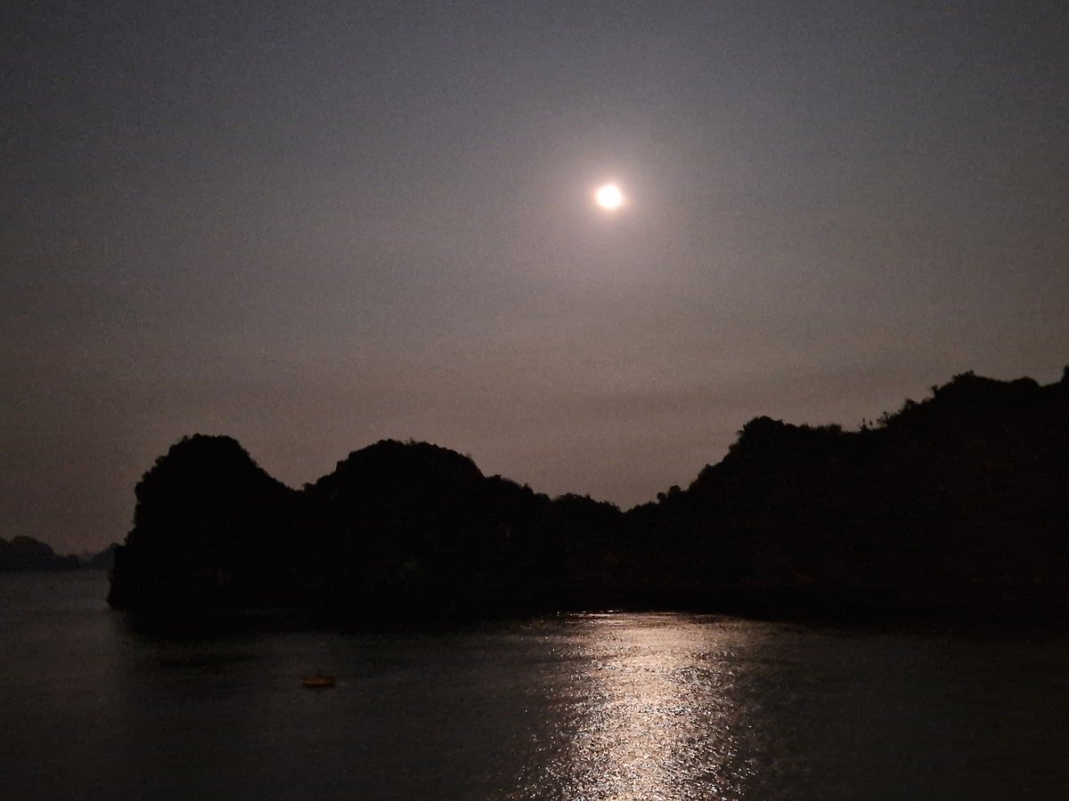 1 de febrero de 2026 - 20:52, Vietnam