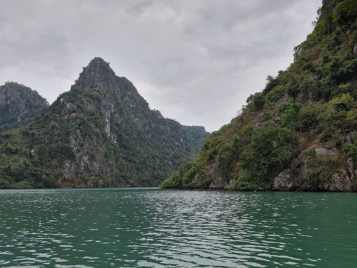 2 Feb 2026 - 07:37, Vietnam