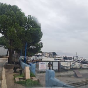 2 Feb 2026 - 13:12 by Alkan