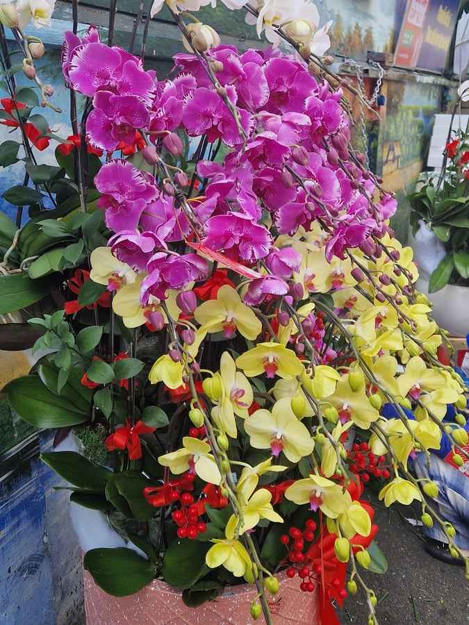 3 Feb 2026 - 11:03, Vietnam