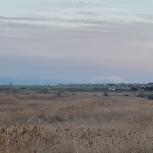 4 Feb 2026 - 18:24 by Alkan