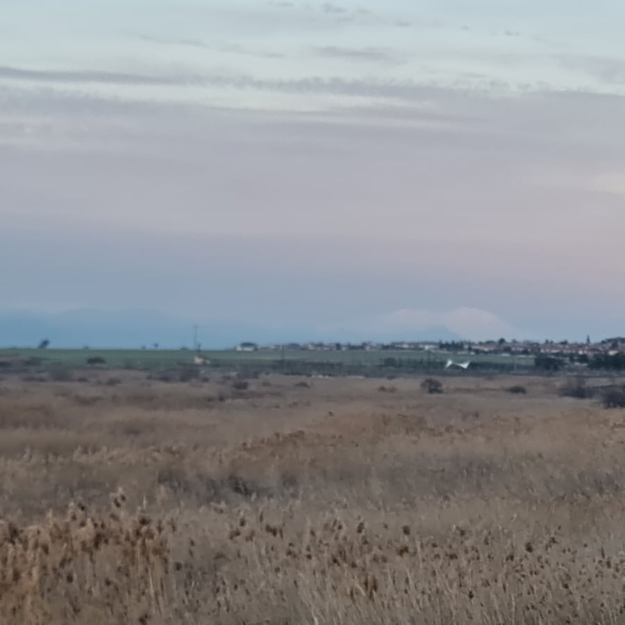 4 Feb 2026 - 18:24, Türkiye