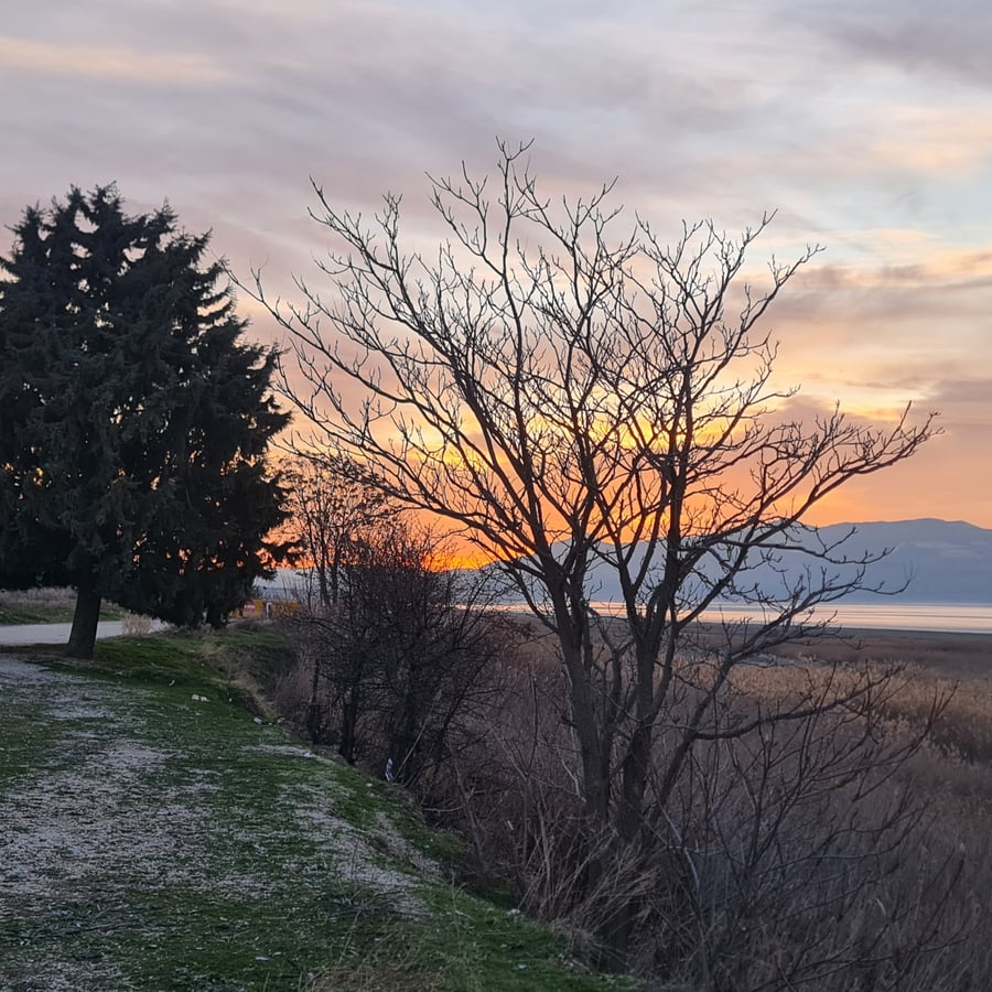 4 Feb 2026 - 18:24, Türkiye