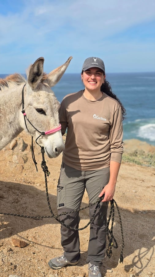 Curisave Sanctuary Donkey, Mexico