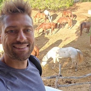 Curisave Sanctuary Donkey by David