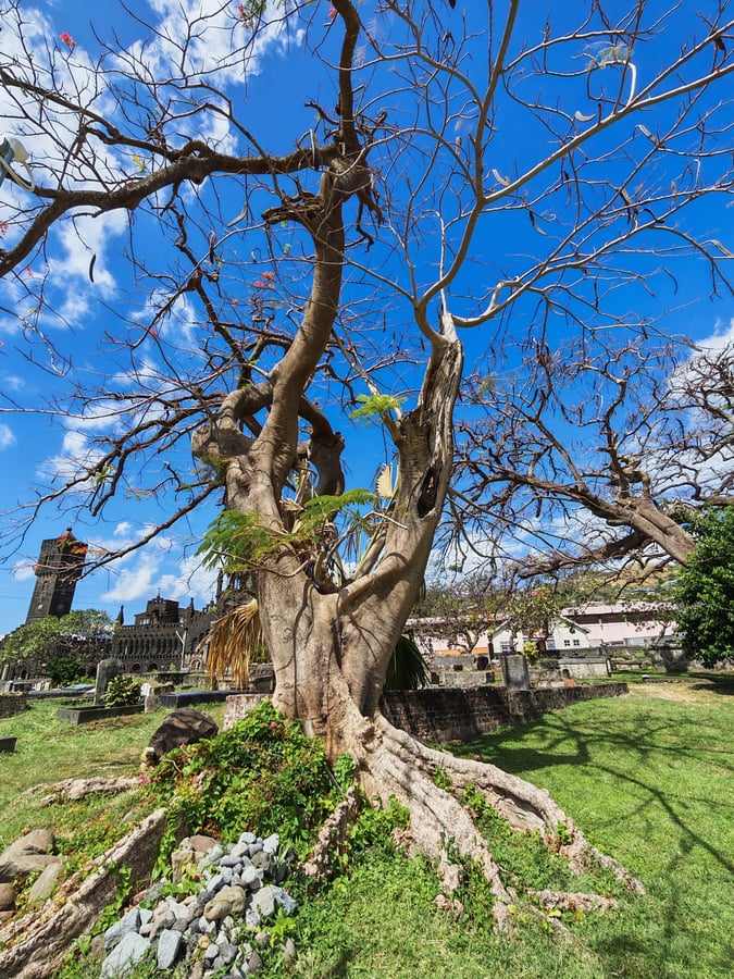 22 Feb 2026 - 10:41, St. Vincent & Grenadines
