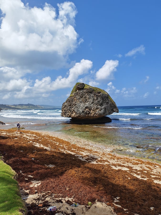 23 de febrero de 2026 - 12:57, Barbados
