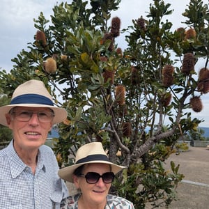 25 Feb 2026 - 14:00 by Greg