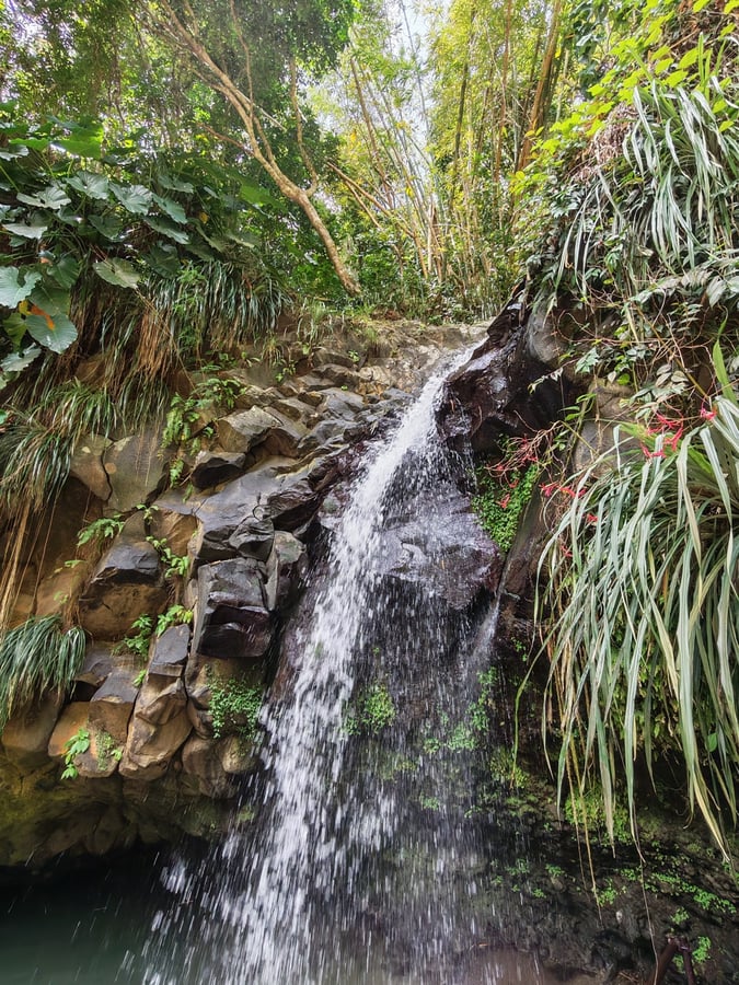 25 Feb 2026 - 12:07, Grenada