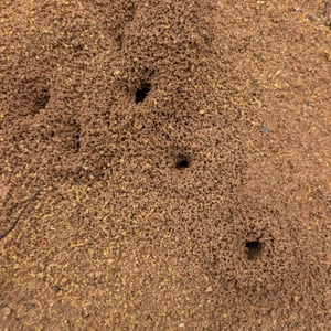 26 Feb 2026 - 15:58 by Greg