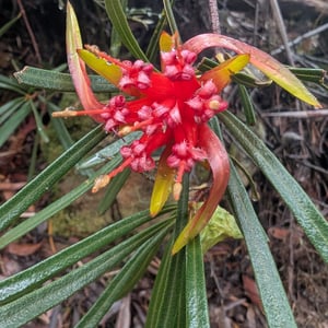 26 Feb 2026 - 15:58 by Greg