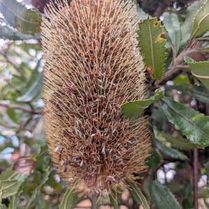 26 Feb 2026 - 15:58 by Greg