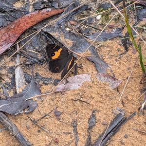 26 Feb 2026 - 15:58 by Greg