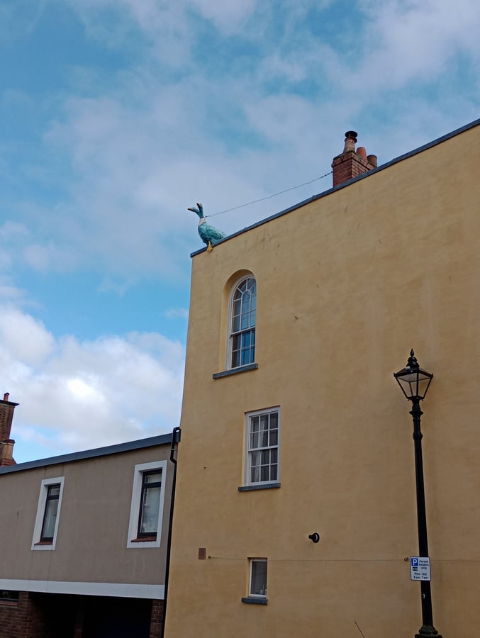 The Goose With Two Necks, England
