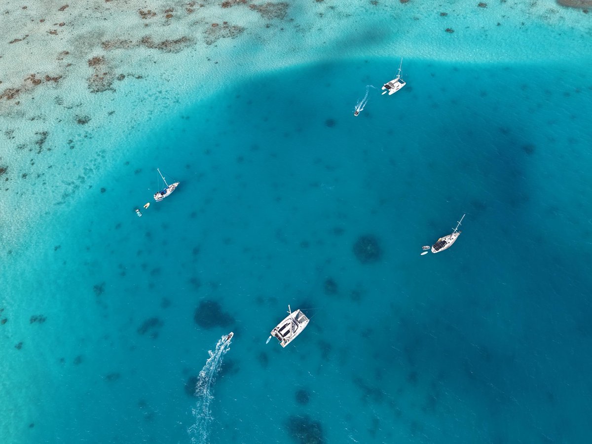 Explorando Tikehau
