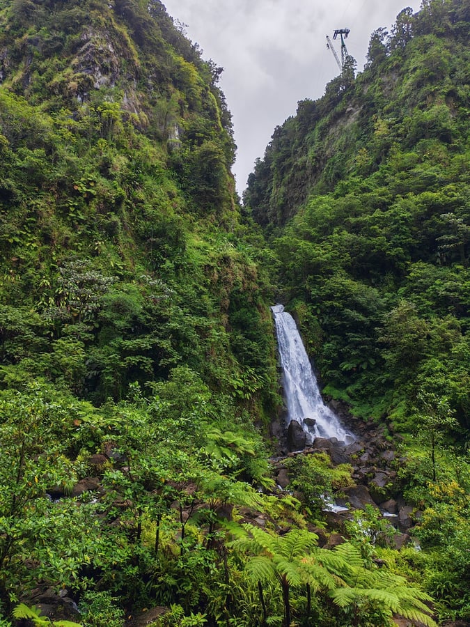 28 Feb 2026 - 12:06, Dominica