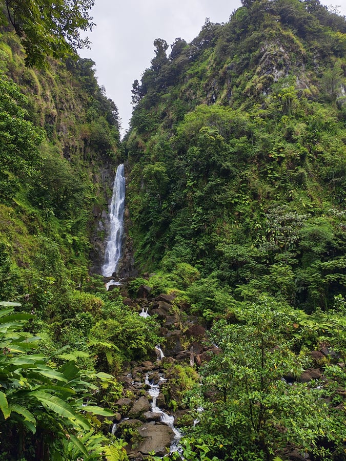 28 Feb 2026 - 12:06, Dominica