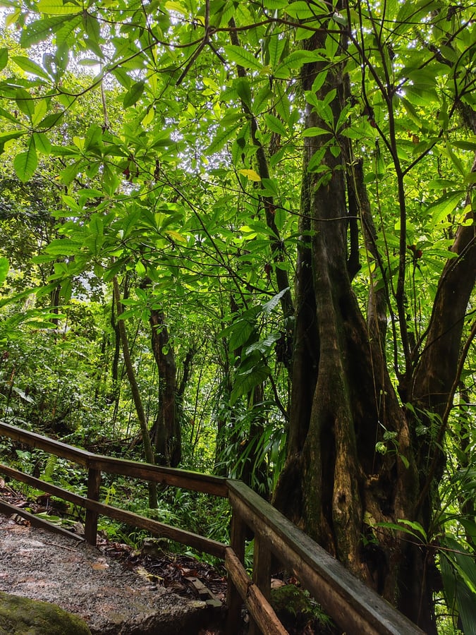 28 febbraio 2026 - 12:06, Dominica
