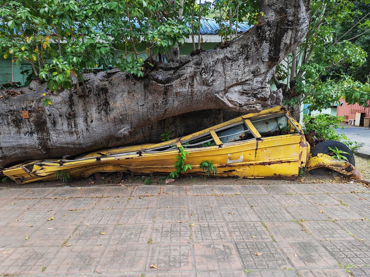 28 Feb 2026 - 14:04, Dominica