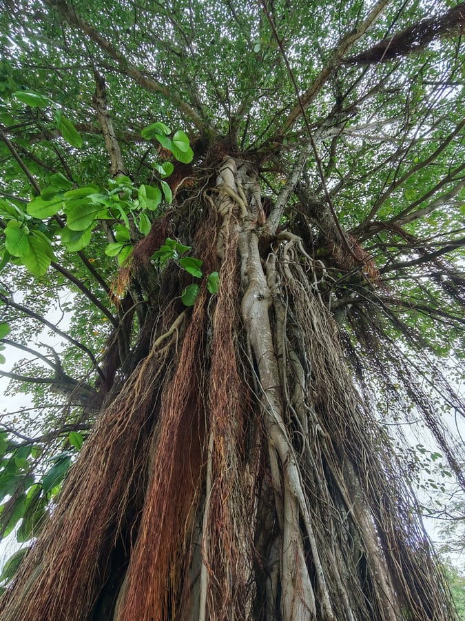 28 febbraio 2026 - 14:04, Dominica