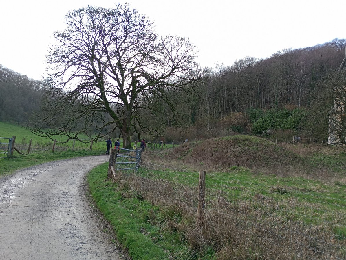 1 March 2026 - 15:24, England