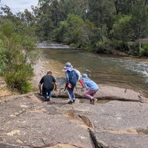 2 March 2026 - 13:12 by Greg