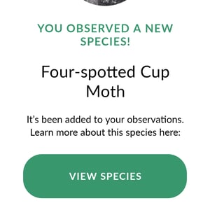 2 March 2026 - 13:12 by Greg