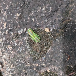 2 March 2026 - 13:12 by Greg